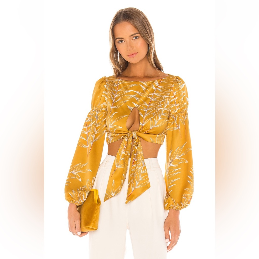 NEVER WORN Camila coehlo SATIN CUTOUT CROP BLOUSE!